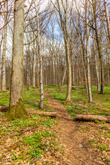 Fototapeta premium Wanderung zu den Gleichbergen bei Römhild in Südthüringen - Thüringen - Deutschland
