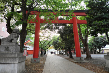 花園神社の大鳥居（東京都新宿区）　Torii of Hanazono-jinjya Shrine（Sinnjyuku-ku Tokyo Japan　2022）