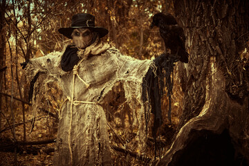 Scarecrow with black raven