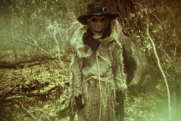evil ghost of a forest