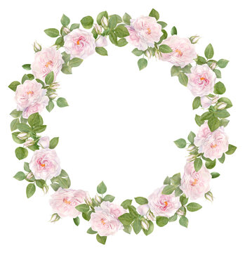 Hand drawn watercolor wreath with pink rose flowers