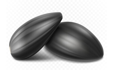 Ripe sunflower seed, detailed realistic 3d vector. isolated on white background, close-up