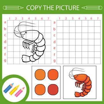 Kids activity page. Copy drawing of shrimp. Vector draw worksheet with funny riddle. Education game with sea animals. Children art lesson. 