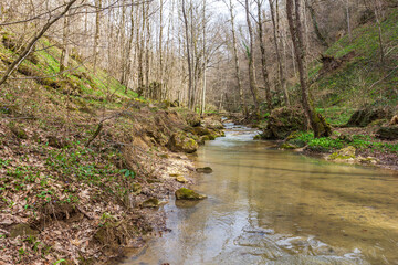 spring in nature, a natural park, a mountain river in a natural channel with rapids and waterfalls.*