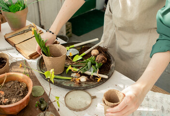 girl plants flowers in pots in spring