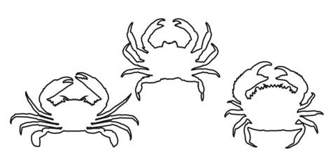 Set outline black crab sign icon on white background. Vector clipart illustration