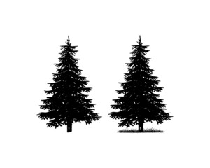 Old Pine Tree Silhouette Collection on the Park Residential landscape Hand Drawing Symbol Vintage Seal Stock Vector	