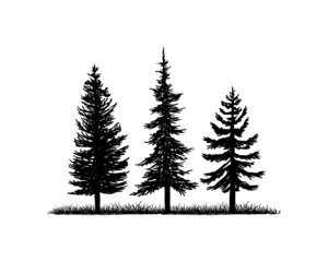 Old Pine Tree Silhouette on the Park Residential landscape Hand Drawing Symbol Vintage Seal Stock Vector	