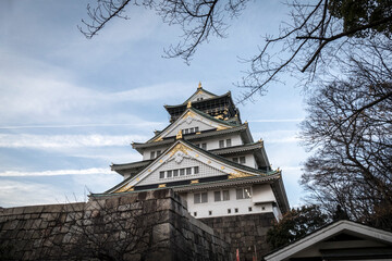 Fototapeta premium japan castle