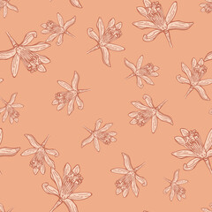 Seamless pattern flowers engraved. Vintage background of garden floral in hand drawn style.