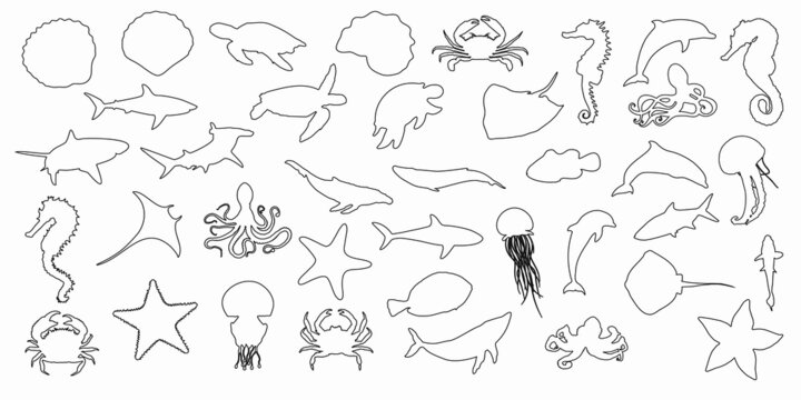 Collection set of black outline silhouettes of fish, seahorse, shells, octopuses, dolphins, sharks, whales, crabs and stingrays on a white background. Vector clipart