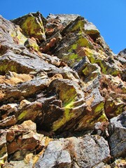 Sharp stones and rocks covered in green, yellow and red lichens. Colorful view. Plants in the mountains. Nepal.
