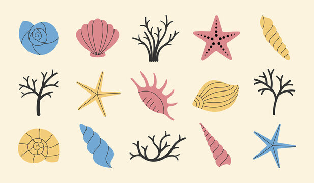 Set of various simple sea shells, starfish and corals. Vector illustration.