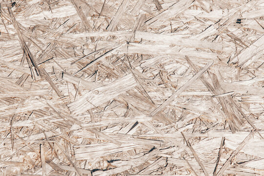 wi&oacute;ry - trociny - tło - drewno - płyta - drewniane - płyta wi&oacute;rowa - wooden background