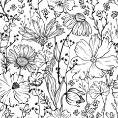 Floral seamless pattern with line flowers on white background. Botanical vintage background. Flowers in bloom