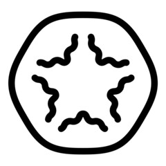 Wave Star Abstract Flat Icon Isolated On White Background