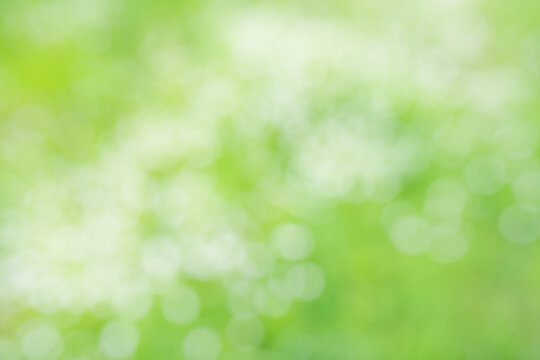 Abstract light green spring background with bokeh