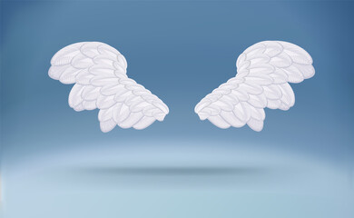 Cartoon white wings. Isolated White Angel Wings.