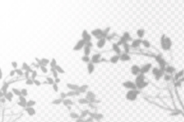 Realistic shadow tropical leaves and branches on transparent checkered background. The effect of overlaying shadows. Natural light layout.