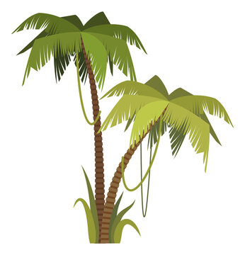 Exotic tropical beach greenery. Cartoon palm tree