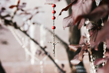 Rosaries hanging from tree outside of Loretto chapel in Santa Fe, New Mexico
