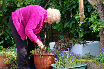 Senior 92 yr old woman is happy planting flowers in a garden. Keeping fit, and enjoying the outdoors.
