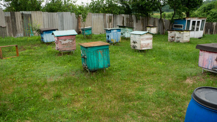 Beehives with bees in a honey farm.