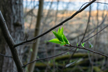 Spring colors.