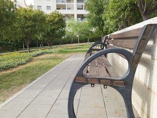 Wooden Bench in a Park
