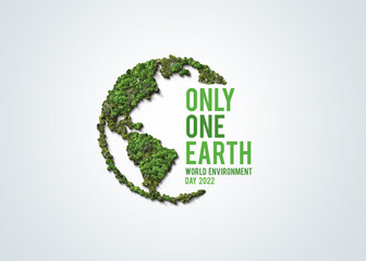 Only One Earth- World Environment day concept 3d design. Happy Environment day, 05 June. World map with Environment day text 3d background illustration.  © DOERS
