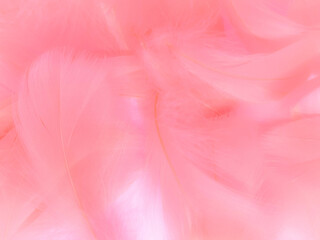 Beautiful abstract light pink feathers on white background,  white feather frame on pink texture...
