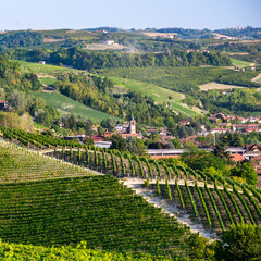 Langhe