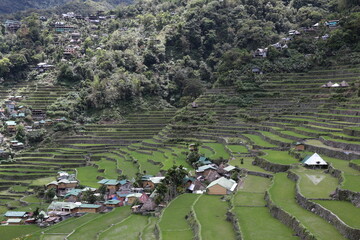 Fototapeta na wymiar Batad Reisterrassen in der Provinz Ifugao, Philippinen