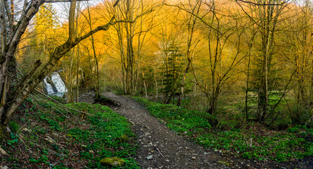 a trail to waterfal Hurkalo in the Carpathians, Skole Beskids National Nature Park, Ukraine