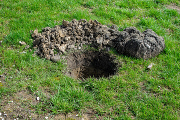 Pit in the ground. A hole dug for planting trees or plants on the lawn. Spring planting trees in...