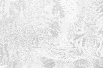 Wall gray floral pattern texture as background