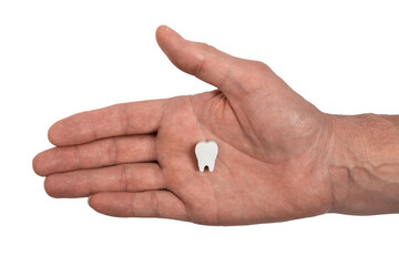 Man hand with tooth isolated on white background. Oral hygiene, dental care concept. High quality photo