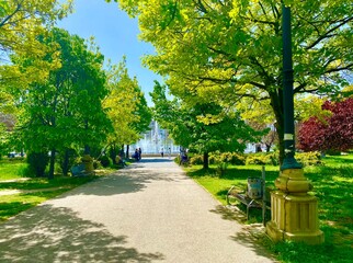 alley in the park in Bucharest