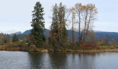 Winter scenery without snow and ice