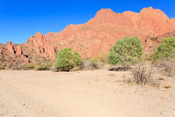 Bolivian canyon near Tupiza,Bolivia