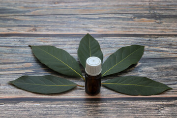 Glass bottle of essential bay laurel oil with daphne leaves on wooden rustic background. Healthy...