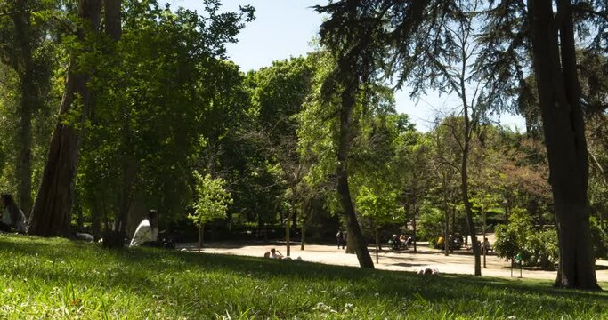 Parque del Retiro  in Madrid Spain timelapse