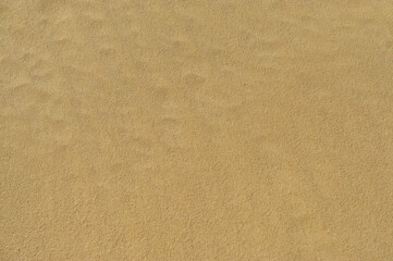 Grainy sand surface in dunes.