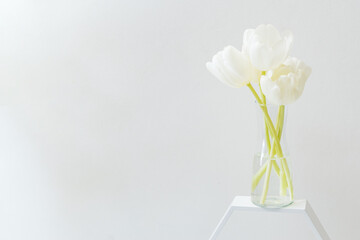 White spring tulips in a vase on a white background