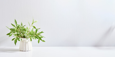 Branches with green leaves in a vase and shadows on a white table. Mock up for displaying works - Powered by Adobe
