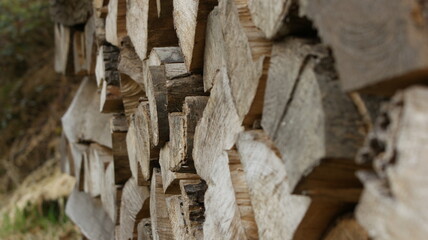 Fototapeta premium wood