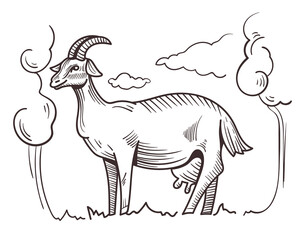 Goat sketch line art concept. Vector flat graphic design illustration