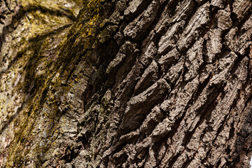 texture