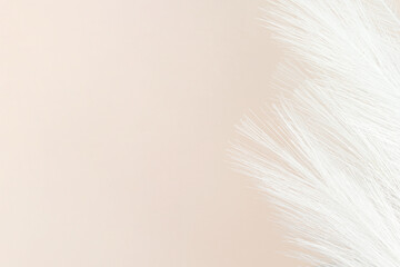 Colorful Artificial Feathers Shot on Beige Background. Space for text.