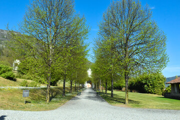 VIALE CON ALBERI E CAPPELLA